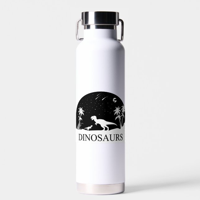 Bouteille D'eau Les dinosaures sous les étoiles (Avant)
