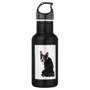 Bouteille D'eau Liberté de Boston Terrier