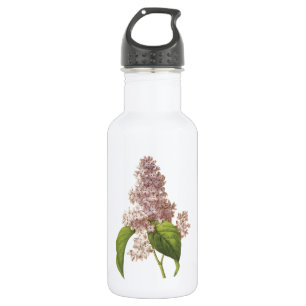 Bouteille D'eau lilas (Syringa sp.) par Redouté