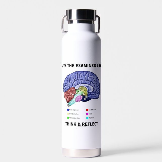 Bouteille D'eau Live The Examiné Life Think & Reflect Conseils (Avant)