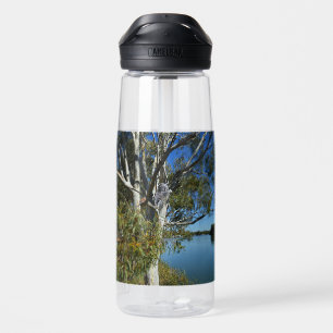 Bouteille D'eau L'Ours De Koala Dormait Dans Un Arbre De Gomme,