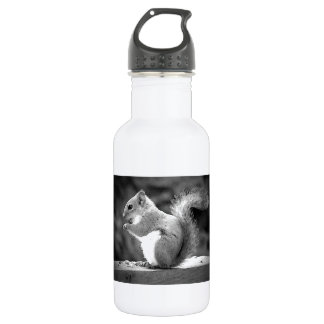 Bouteille D'eau Manger l'écureuil