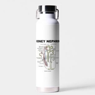 Bouteille D'eau Manuel d'anatomie de Kidney Nephron Grey