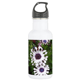 Bouteille D'eau Marguerite africaine blanche