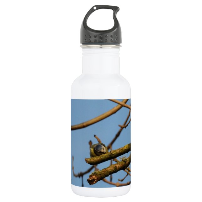 Bouteille D'eau Mésange bleue (Devant)