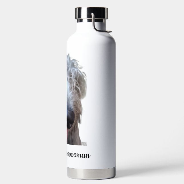 Bouteille D'eau Moi promène mon Hooooouman Irish Wolfhound Bouteil (Droite)