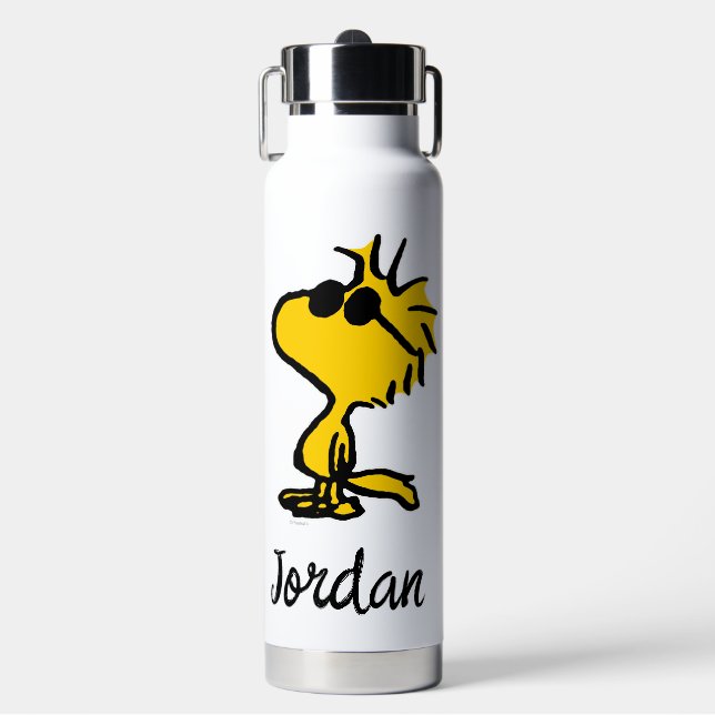 Bouteille D'eau Motif Lunettes de soleil Cool Woodstock | Ajouter  (Salle de sport)