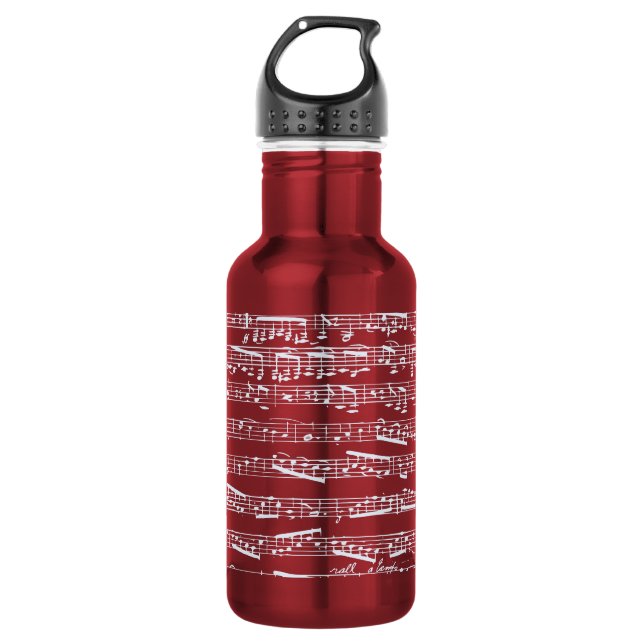 Bouteille D'eau Notes rouges de musique (Devant)