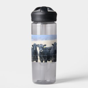 Bouteille D'eau Observateurs de Bovine