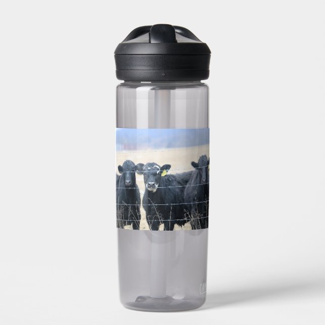 Bouteille D'eau Observateurs de Bovine (Extérieur)