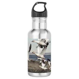 Bouteille D'eau Oies des neiges volantes