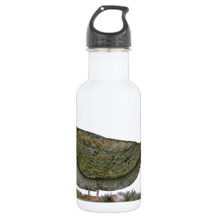 Bouteille D'eau oiseau de bécasse des bois, fernandes élégants