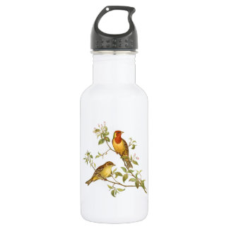 Bouteille D'eau Oiseaux vintages