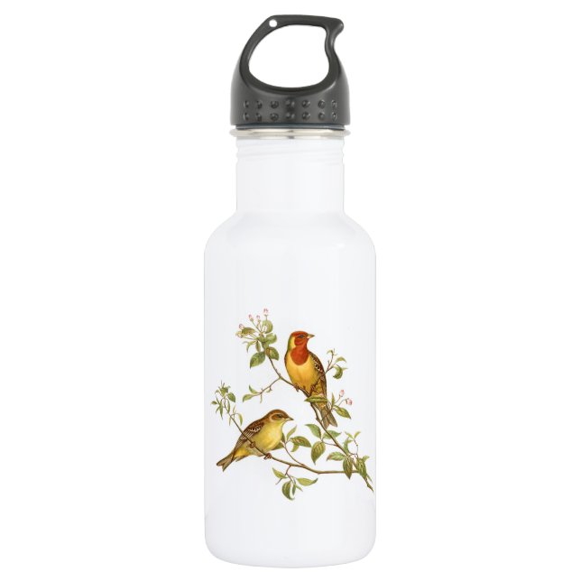 Bouteille D'eau Oiseaux vintages (Devant)