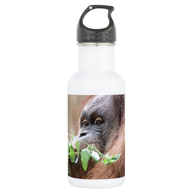 Bouteille D'eau OrangUtan005 (Devant)