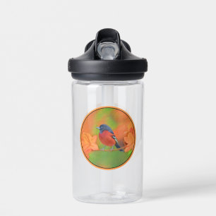 Bouteille D'eau Orchard Oriole Songbird Peinture Oiseau original