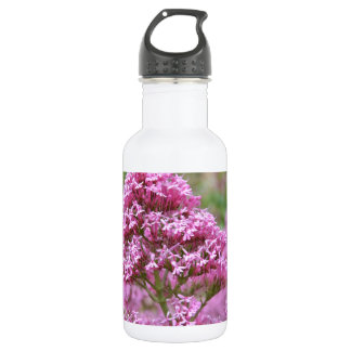 Bouteille D'eau Oseille maritime