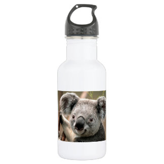 Bouteille D'eau Ours de koala