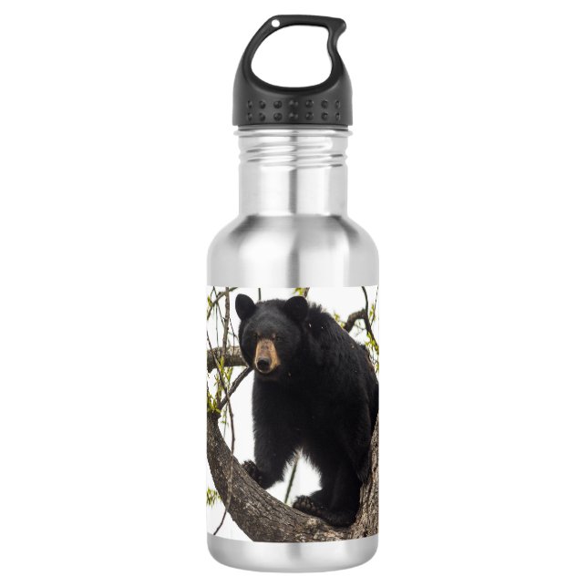 Bouteille D'eau Ours noir Escalade (Devant)