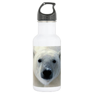 Bouteille D'eau Ours polaire