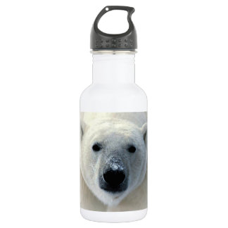 Bouteille D'eau Ours polaire
