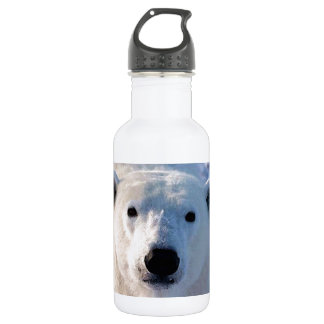 Bouteille D'eau Ours polaire