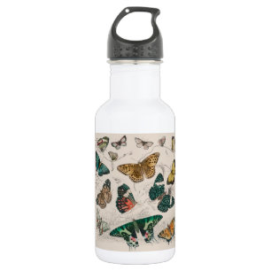Bouteille D'eau Papillons Collection Antique Papillons