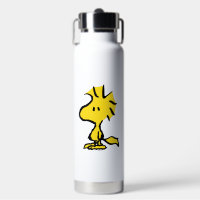 Peanuts | Snoopy's Friend Woodstock