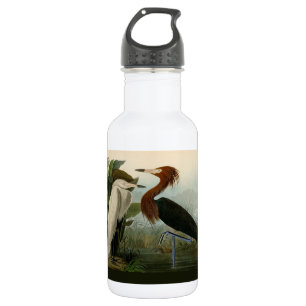 Bouteille D'eau Peinture de la faune d'Audubon Heron violet