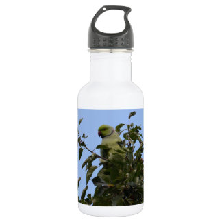 Bouteille D'eau Perruche verte
