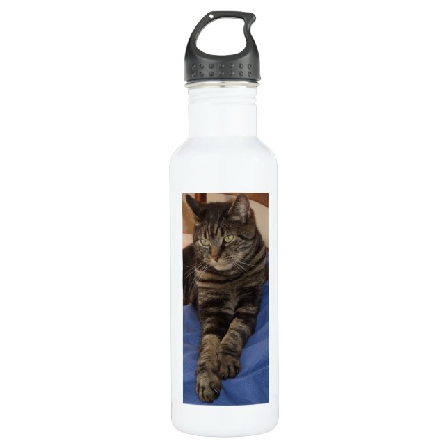 Bouteille d'eau personnalisée Regal Dave (710 ml), (Devant)