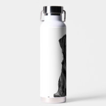 Petit animal de compagnie de Chien Noir du Labrado