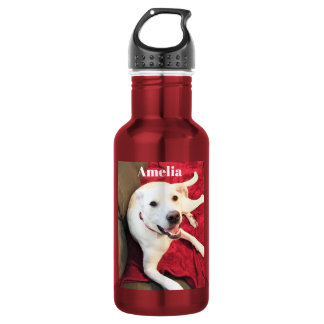 Bouteille D'eau Photo de chien mignon souriant drôle rouge et blan