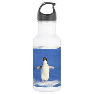 Bouteille D'eau Pingouin drôle sur la glace photo