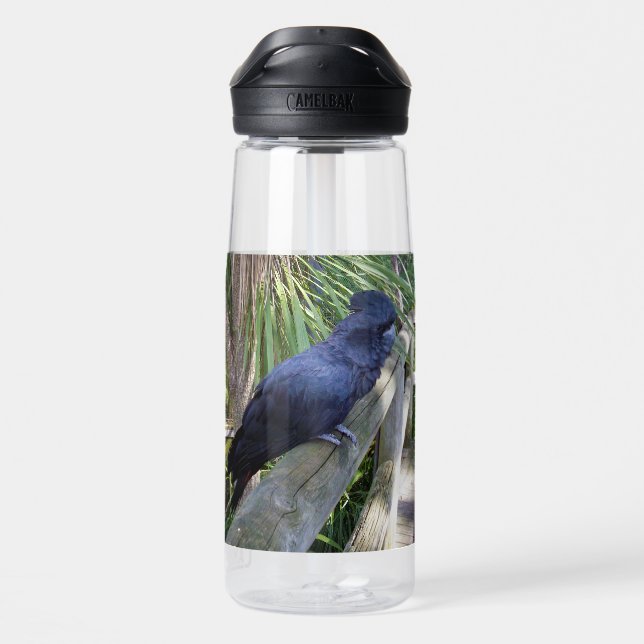 Bouteille D'eau Plumes noires : Perroquet noir australien (Arrière)