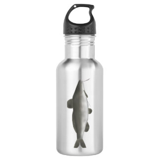 Bouteille D'eau Poisson-chat d'Amérique du Sud