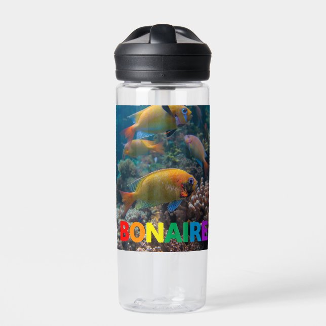 Bouteille D'eau poissons de récif à bonaire (Extérieur)