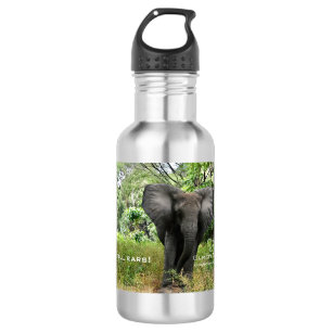 Bouteille d'eau pour éléphants africains