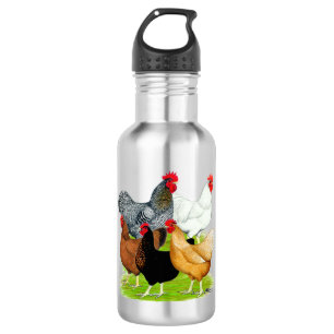 Bouteille D'eau Quintette de poulet liée au sexe