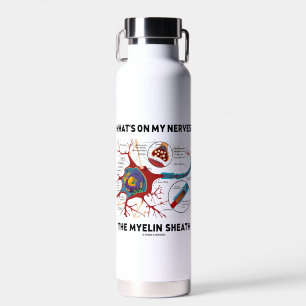 Bouteille D'eau Qu'y a-t-il sur mes nerfs ? Le Myelin Sheath