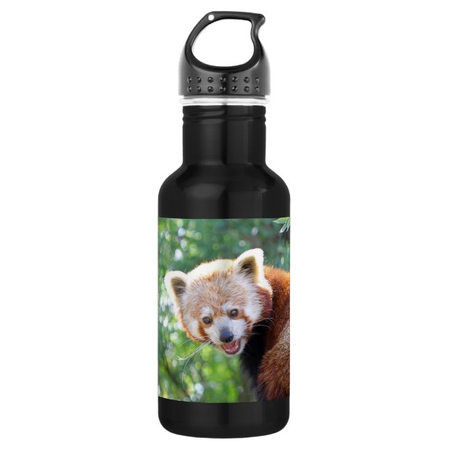 Bouteille D'eau Red_Panda_2015_0306 (Devant)