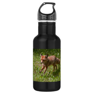 Bouteille D'eau Renard