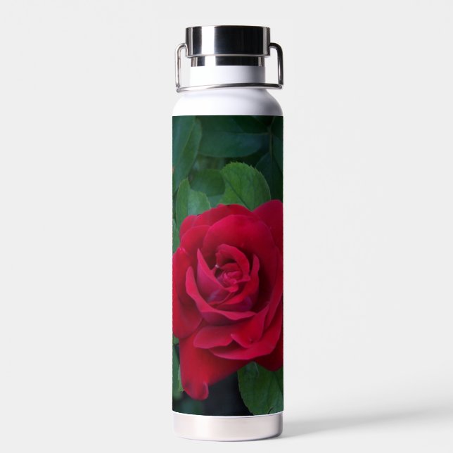 Bouteille D'eau Rose rouge de près (Arrière)