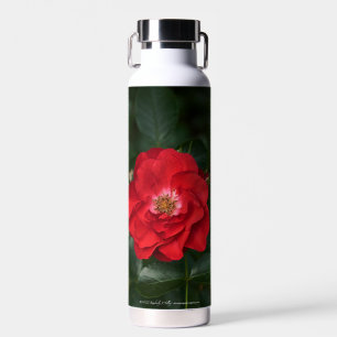 Bouteille D'eau Rose rouge P6568