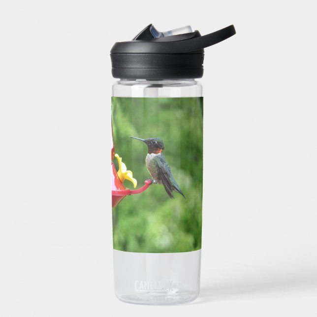Bouteille D'eau Ruby-Throated Hummingbird Bird Photography (Gauche)