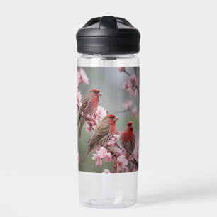 Bouteille D'eau "Scarlet Trio : Finies rouges parmi les fleurs ros