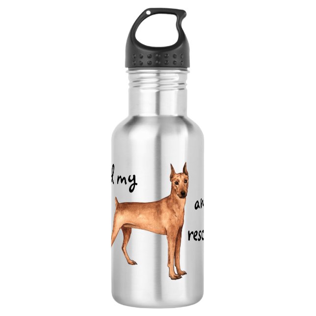 Bouteille D'eau Secourir allemand Pinscher (Devant)
