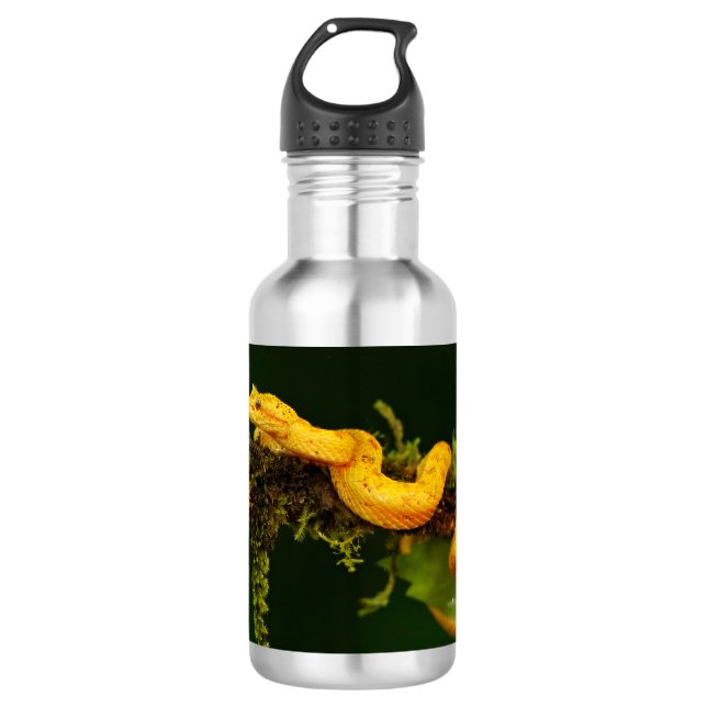 Bouteille D'eau Serpent Viper Poison du Costa Rica (Devant)