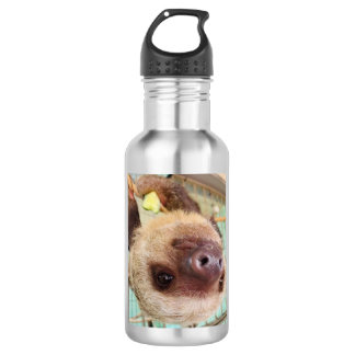 Bouteille d'eau Sloth
