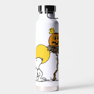 Bouteille D'eau Snoopy & Bois Nid Avec Jack O'Lantern